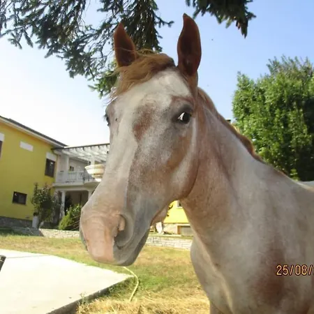 Avventura E Relax A 1 Appartement *