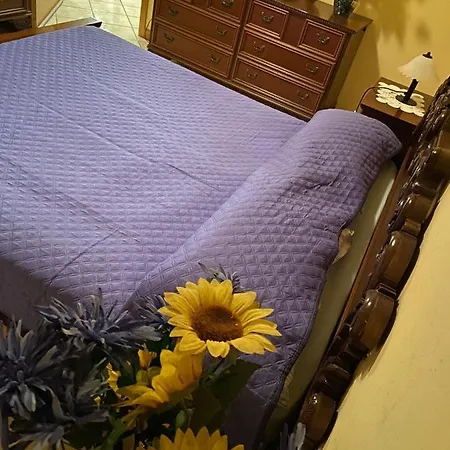Avventura E Relax A 1 Lägenhet Bagnasco